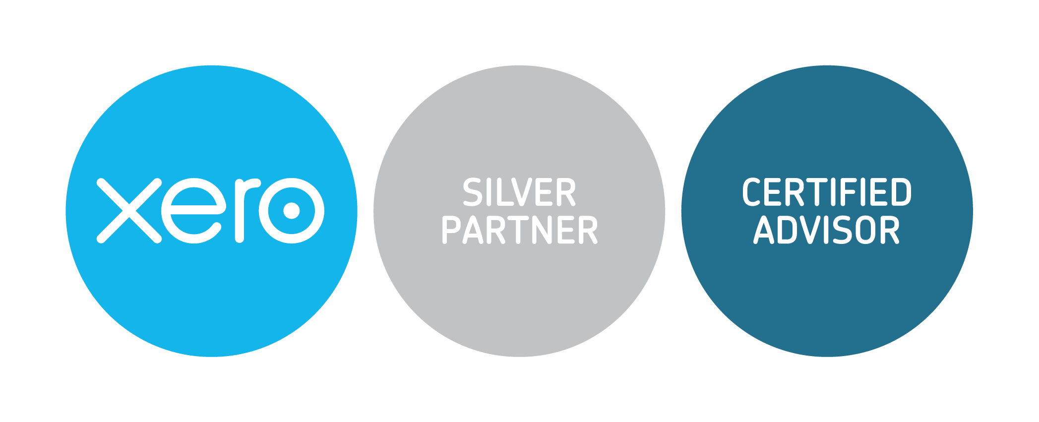 Xero Partner logo